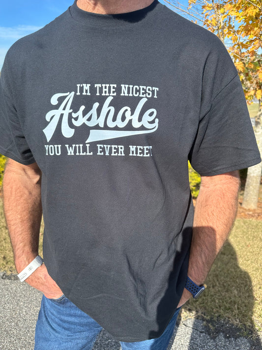 Fun Tshirt:  I'M THE NICEST - YOU WILL EVER MEET